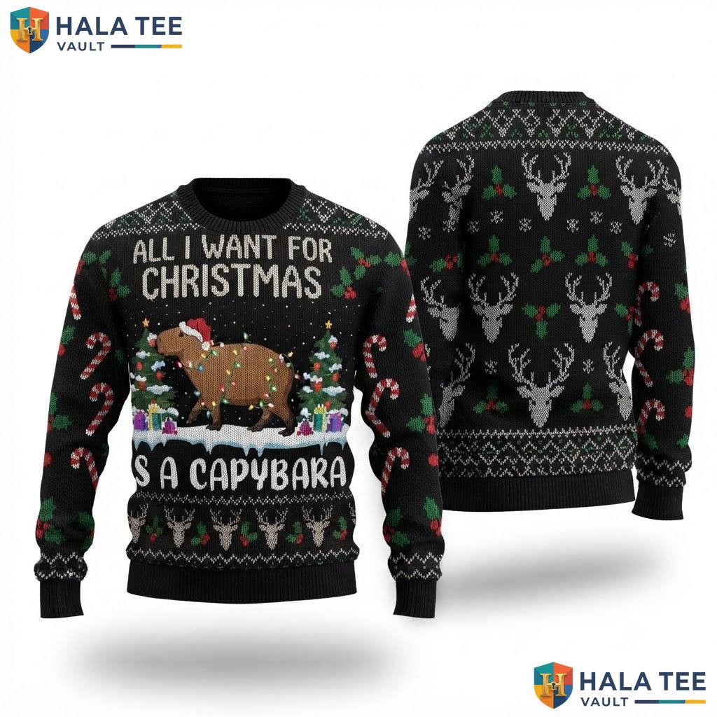 Capybara Santa Hat Christmas Sweater Funny Animal Lover Holiday Top